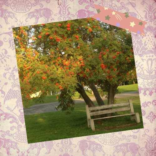 An Attitude of Gratitude