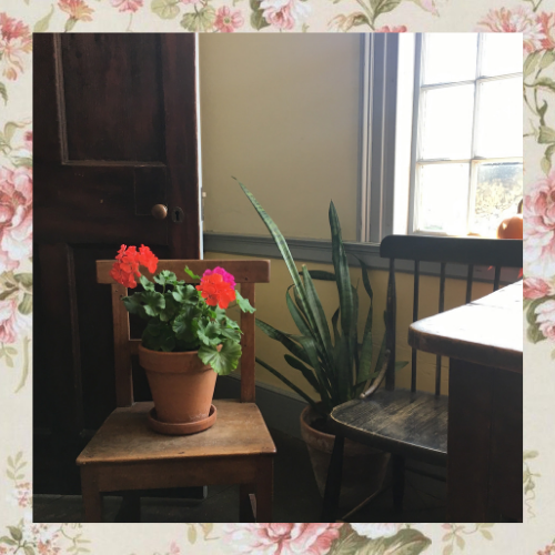 We Go in the Direction we are Pointed