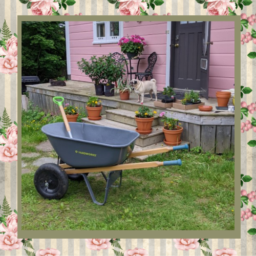 Beautiful Summer Evenings