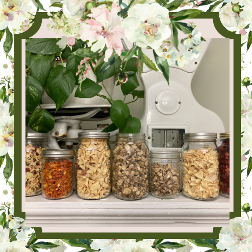 Dehydrating Onions for Storage; Take Advantage of Grocery Store Sales